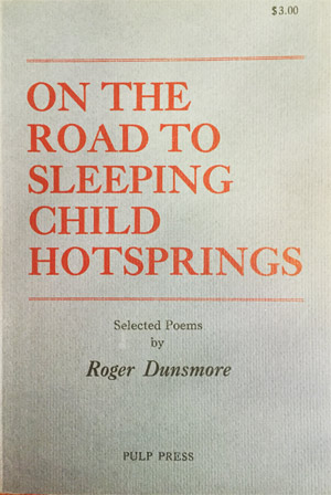 Book Sleeping Child Hotsprings